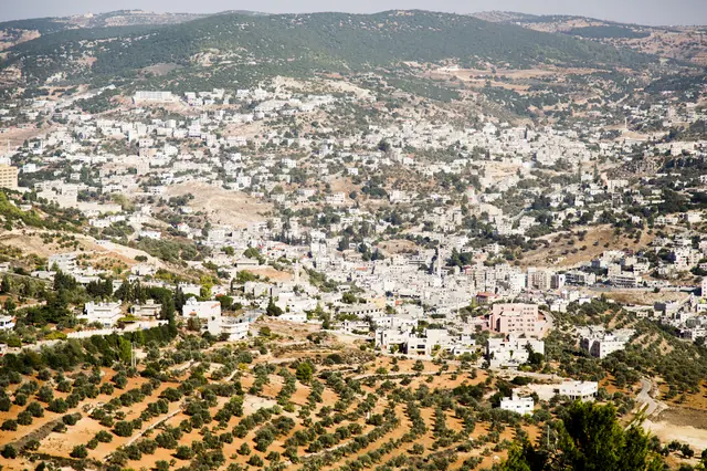 Amman / Ajlun Nature Reserve / Amman